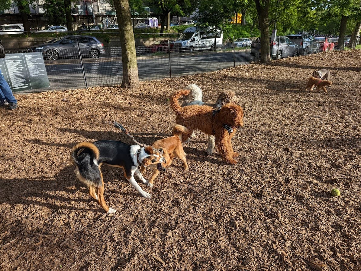 142nd Street Dog Run π