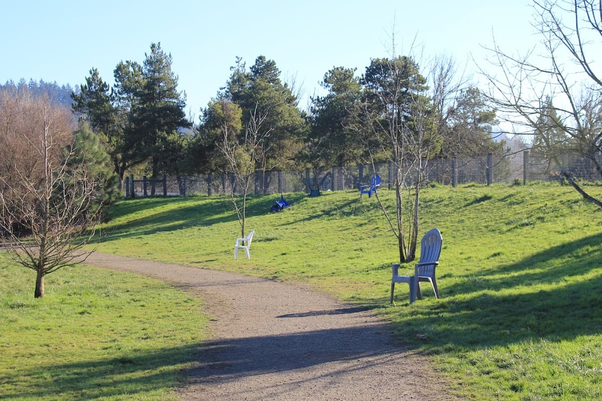 Amazon Dog Park