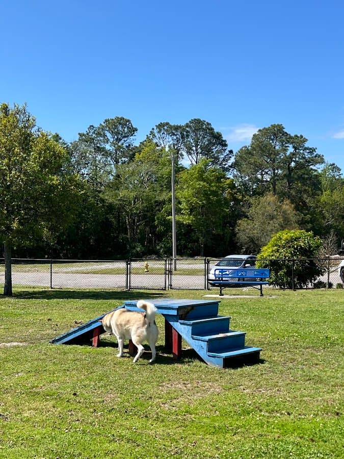 Bark Park