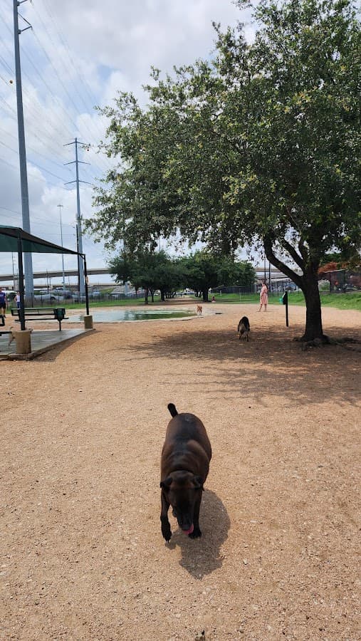 Bark Park
