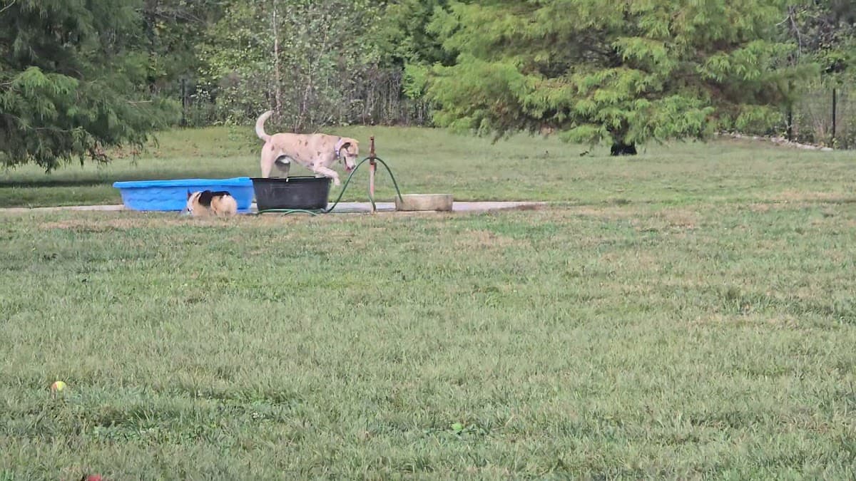 Barklands
