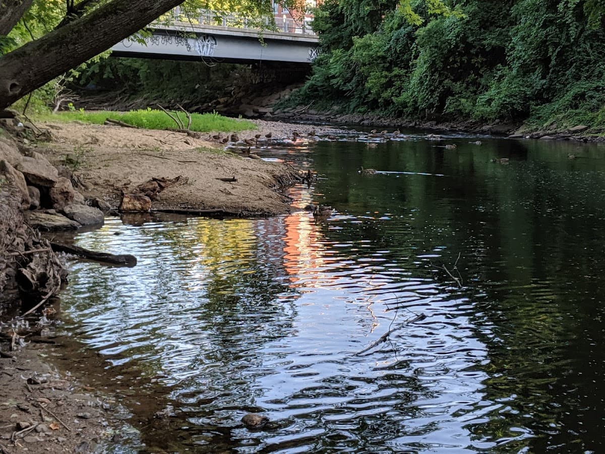 Bass Island Park