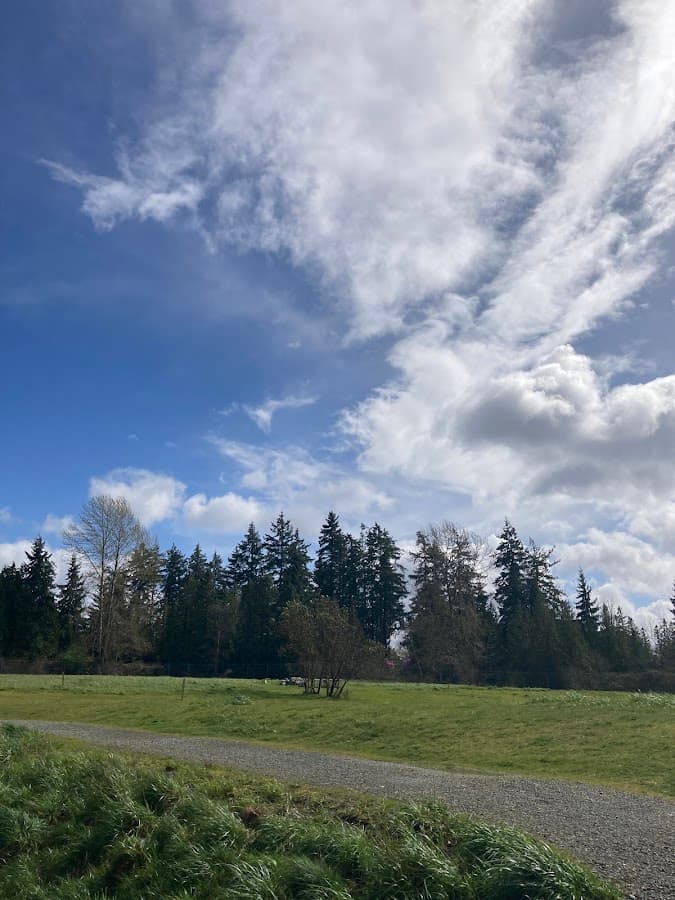 Bellevue Airfield Park