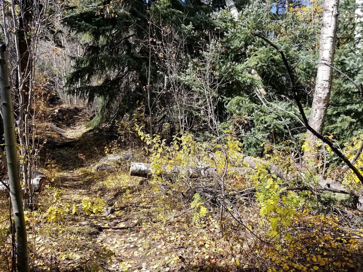 Ben Bezoff Park