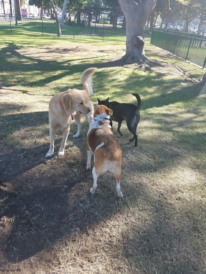 Bixby Dog Park