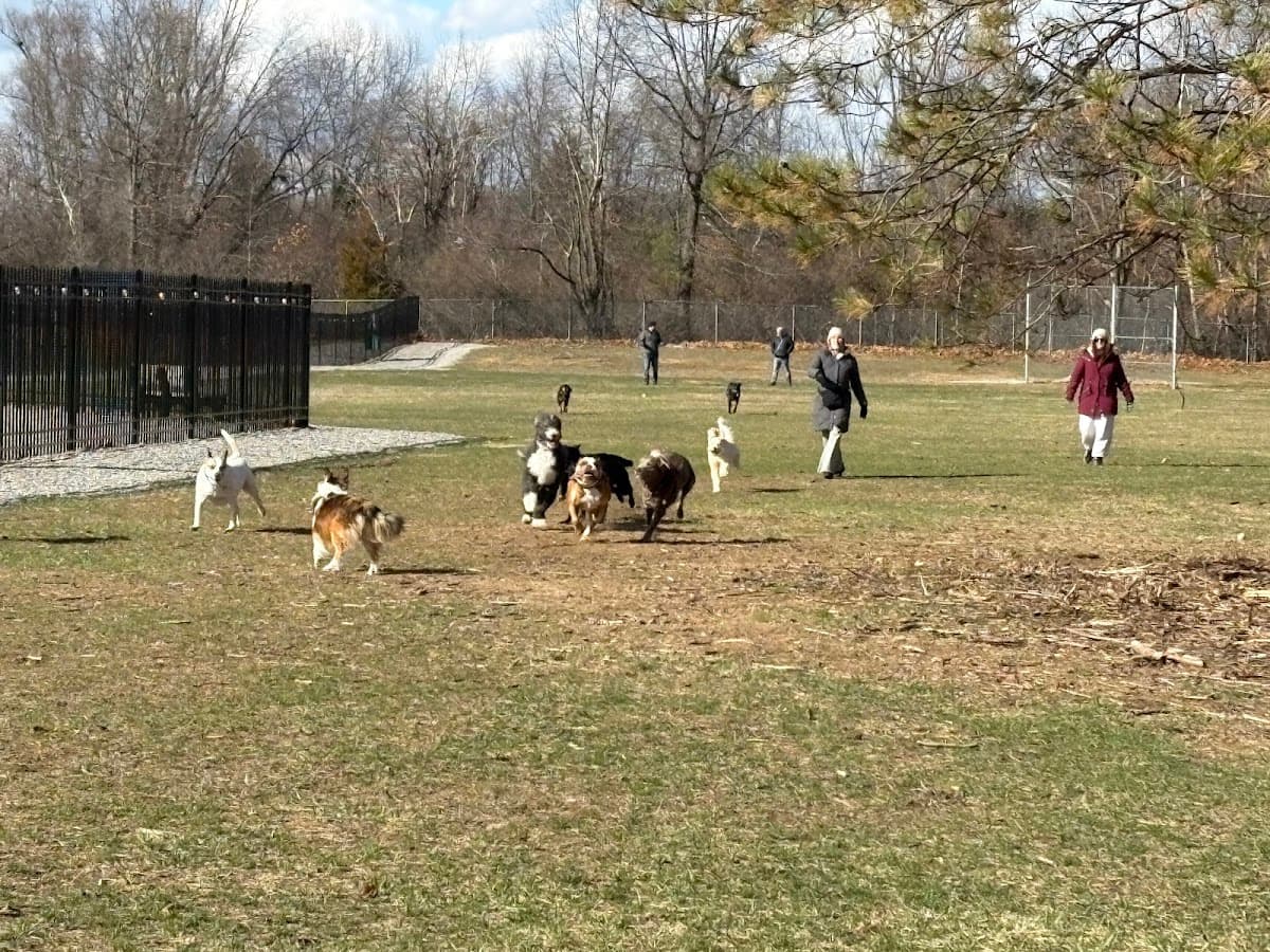 Blueberry Fields Dog Park (Membership Required)