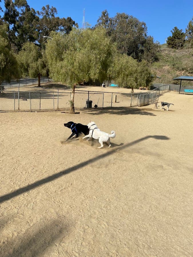 Boneyard Dog Park