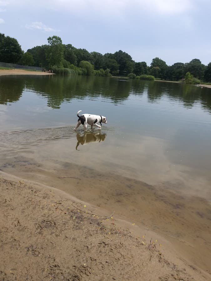 Bow Wow Beach