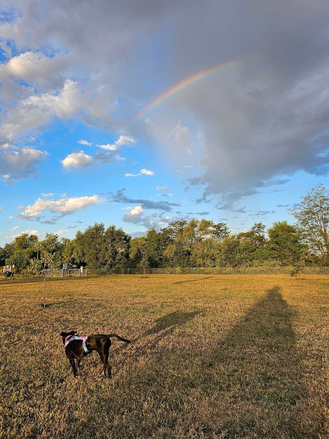 Bowling Lake Dog Park