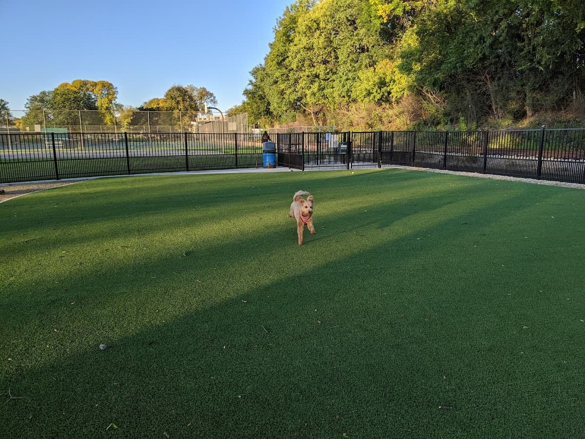 Brittingham Park Dog Park