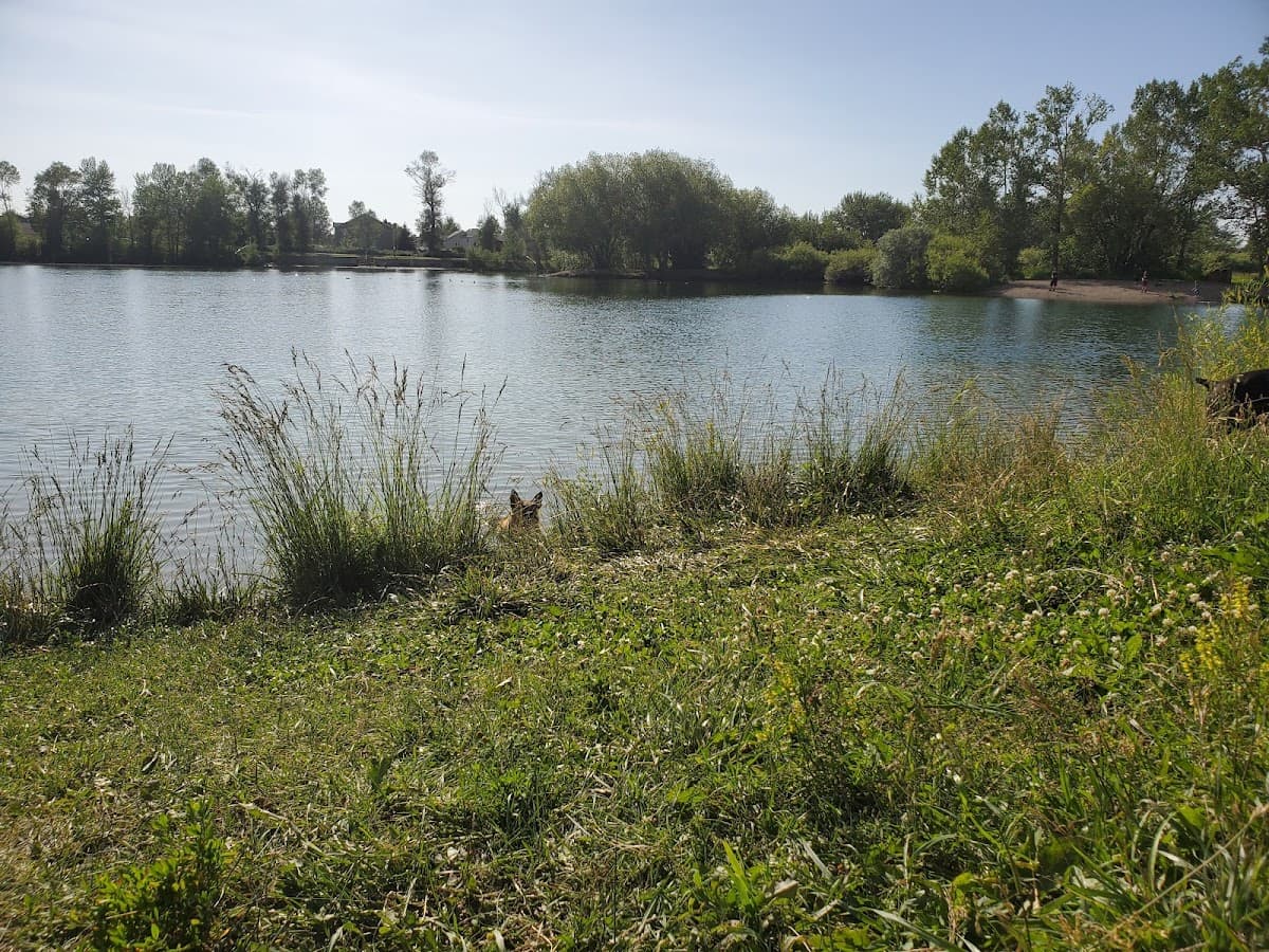Canine Beach at Bozeman Pond