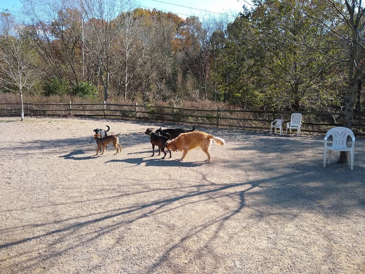 Carnegie Dog Park