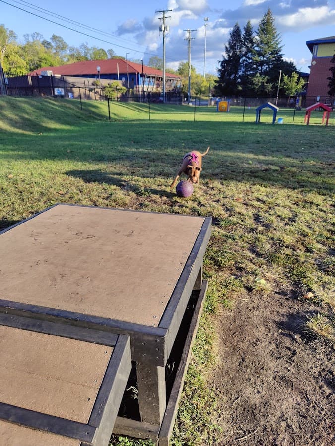 Castle Point Dog Park