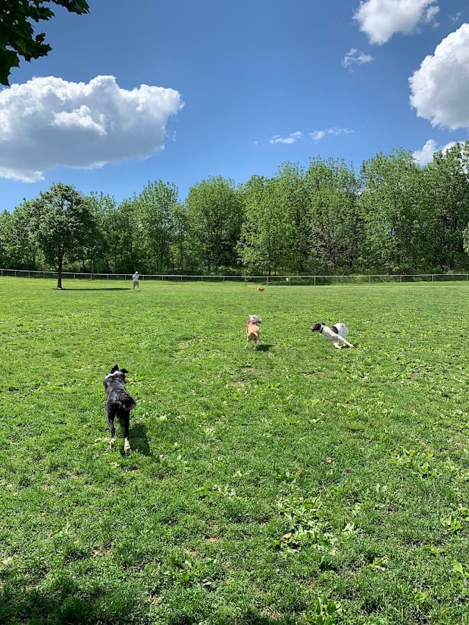 Cedar Creek Parkway West Dog Park