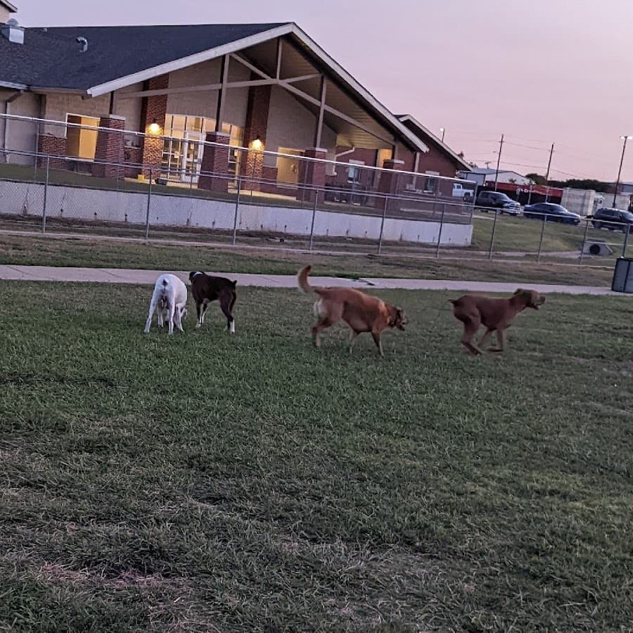 Central Bark Dog Park