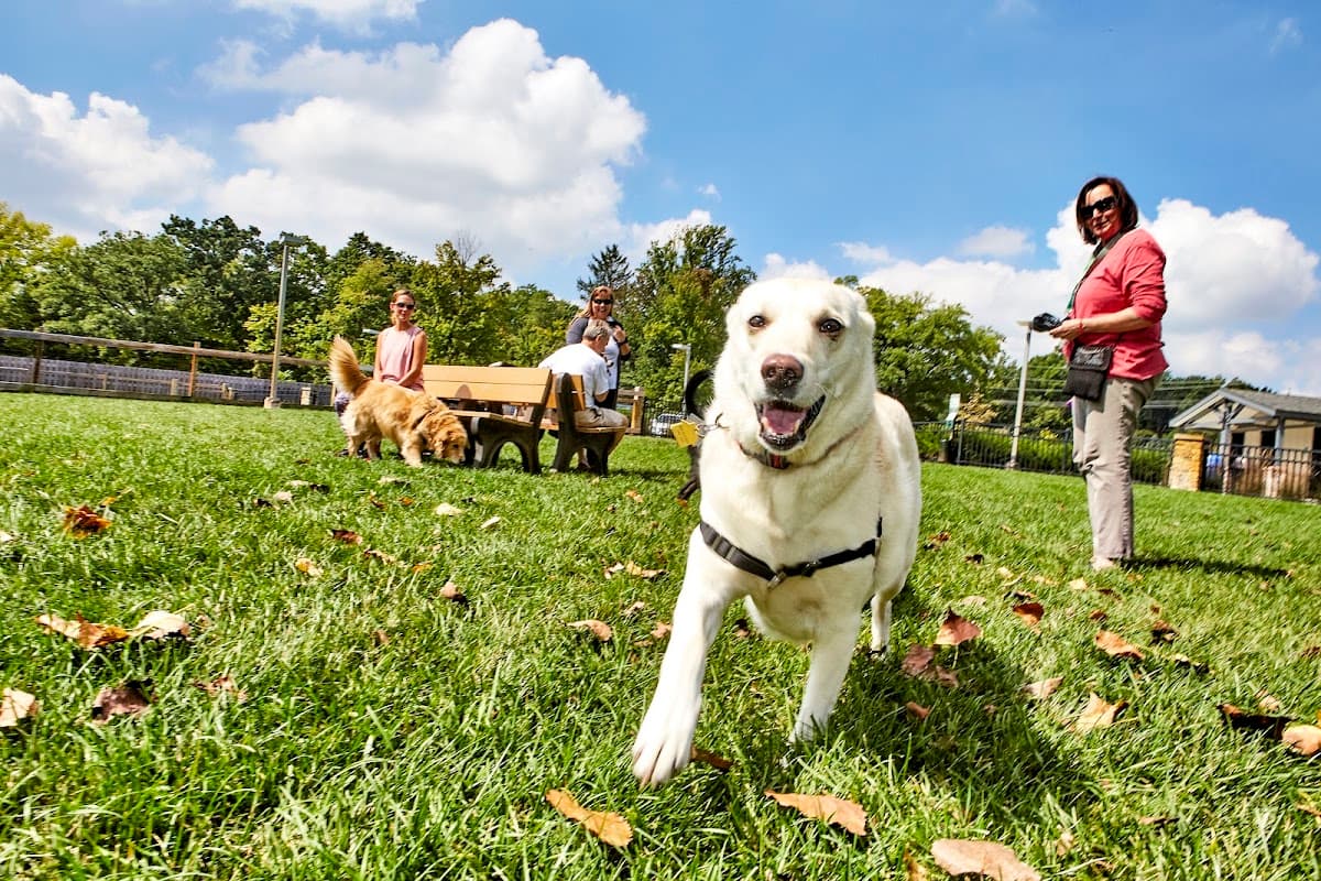 Central Dog Park