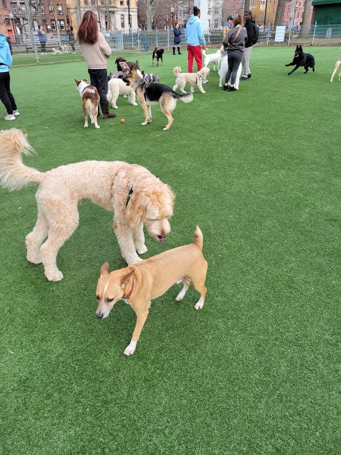 Church Square Park Dog Park