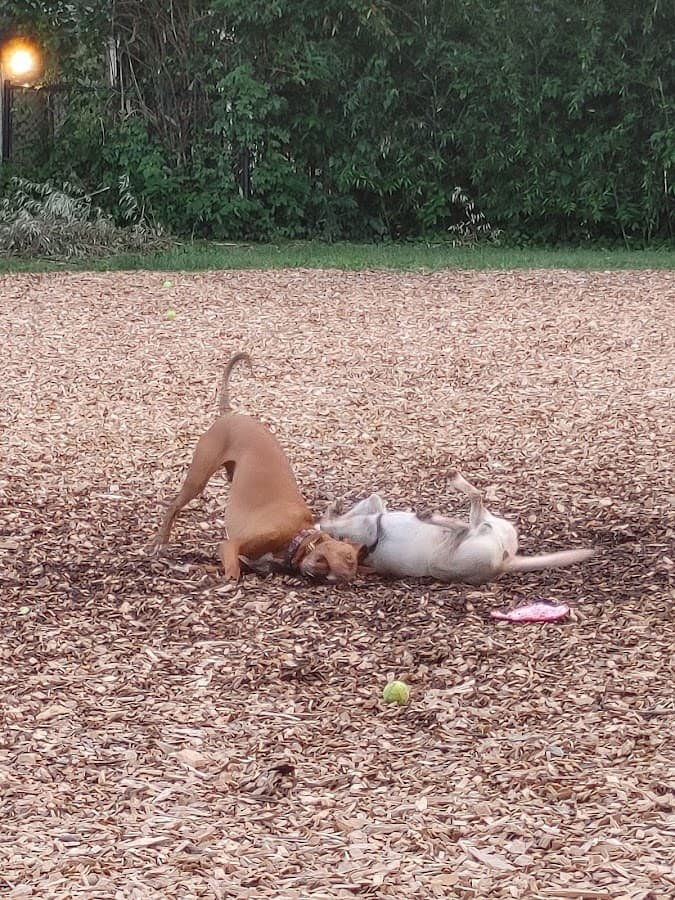 City of Frederick Dog Park