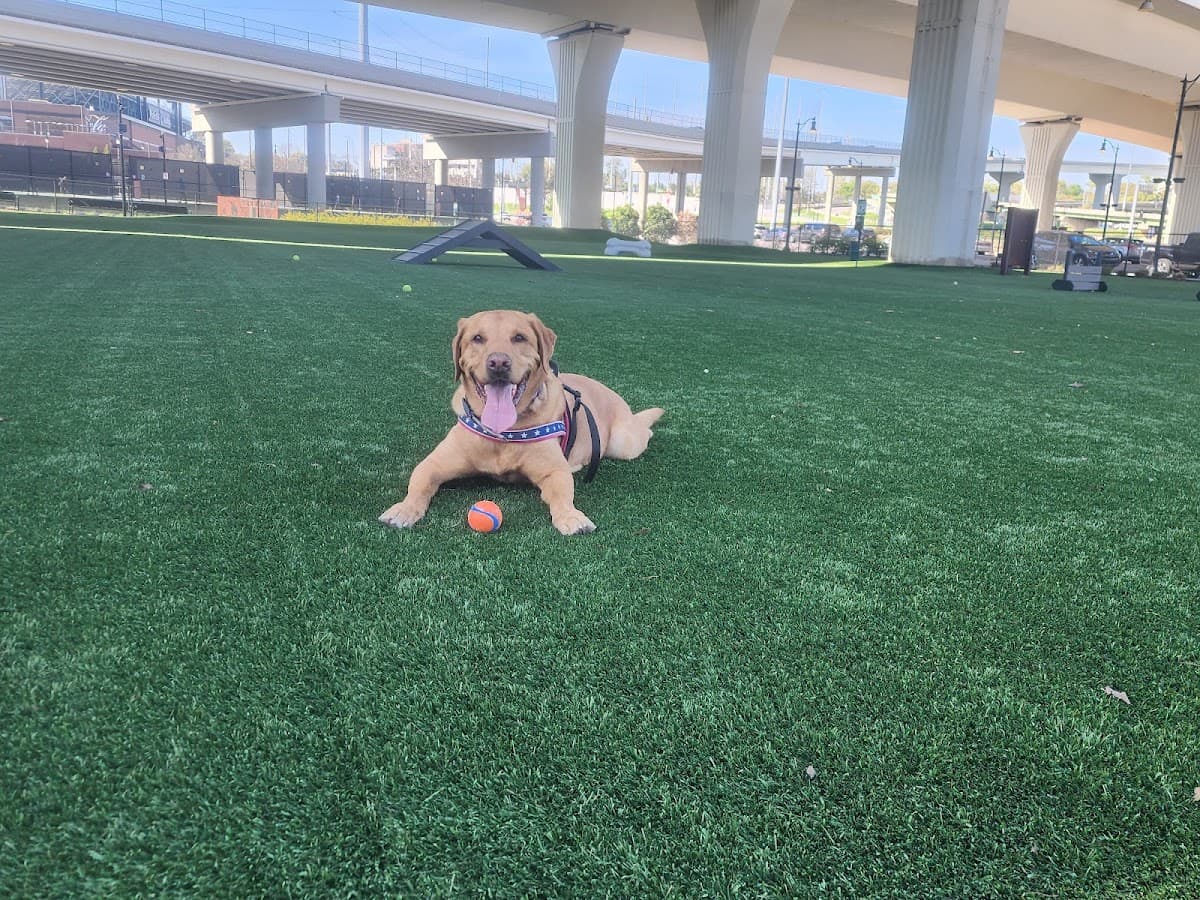 CityWalk Barkery