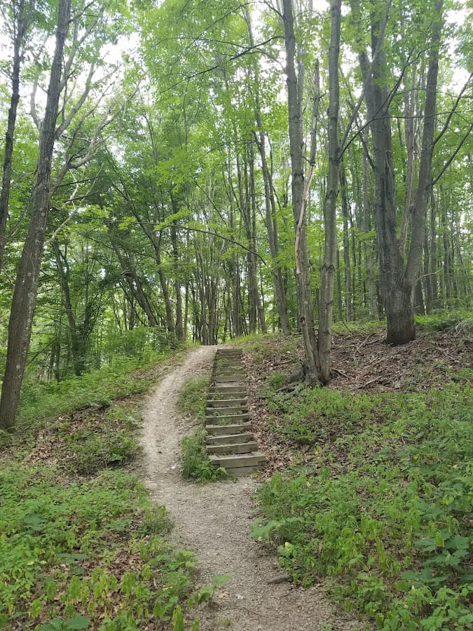 Clark's Pond Trail