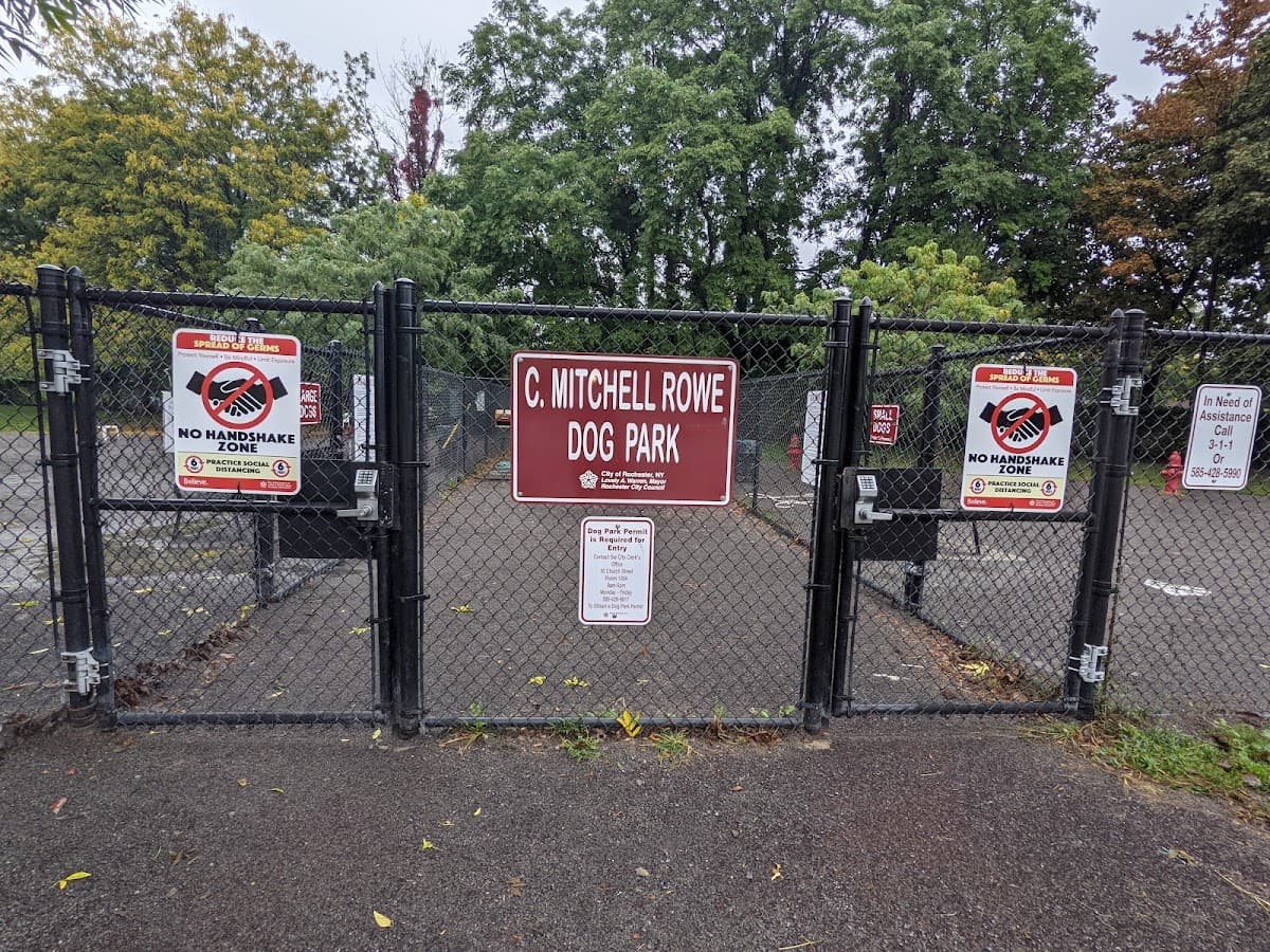 Cobbs Hill Dog Park