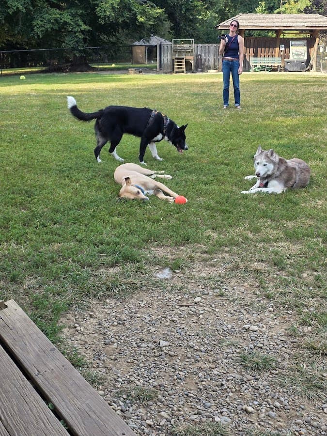 Cochran Hill Dog Run (members only)