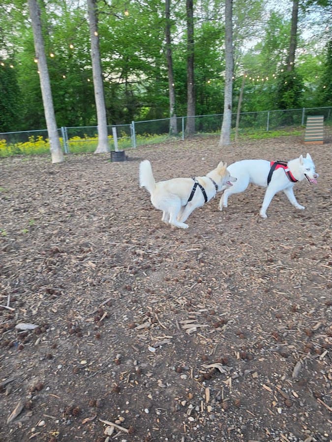 Collegedale Dog Park