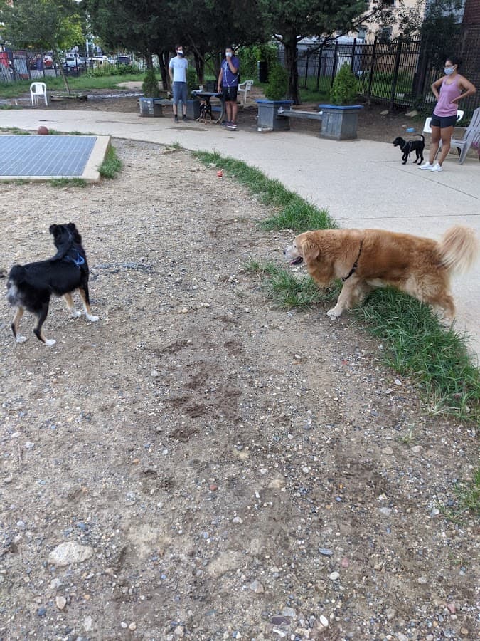 Columbia Heights Dog Park
