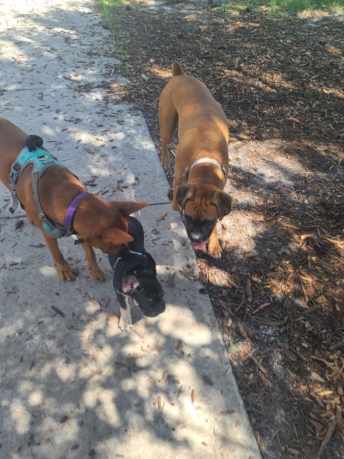 Crescent Lake Dog Park