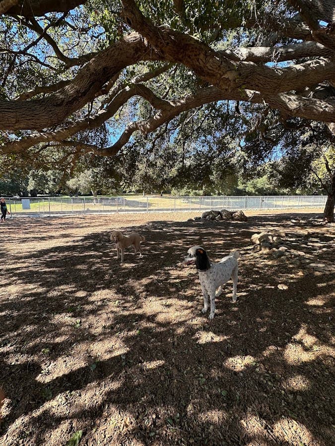 Crescenta Valley Dog Park