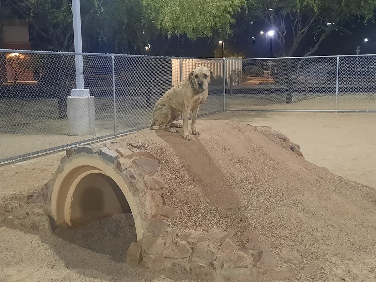Crossroads at Silverbell District Park - Dog Park