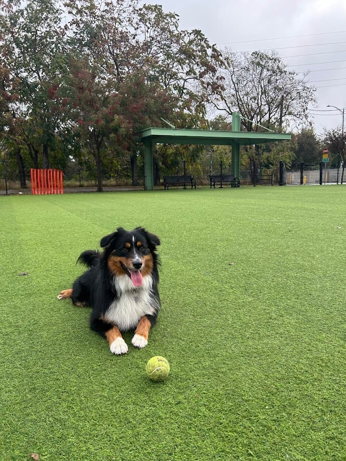 Del Monte Dog Park
