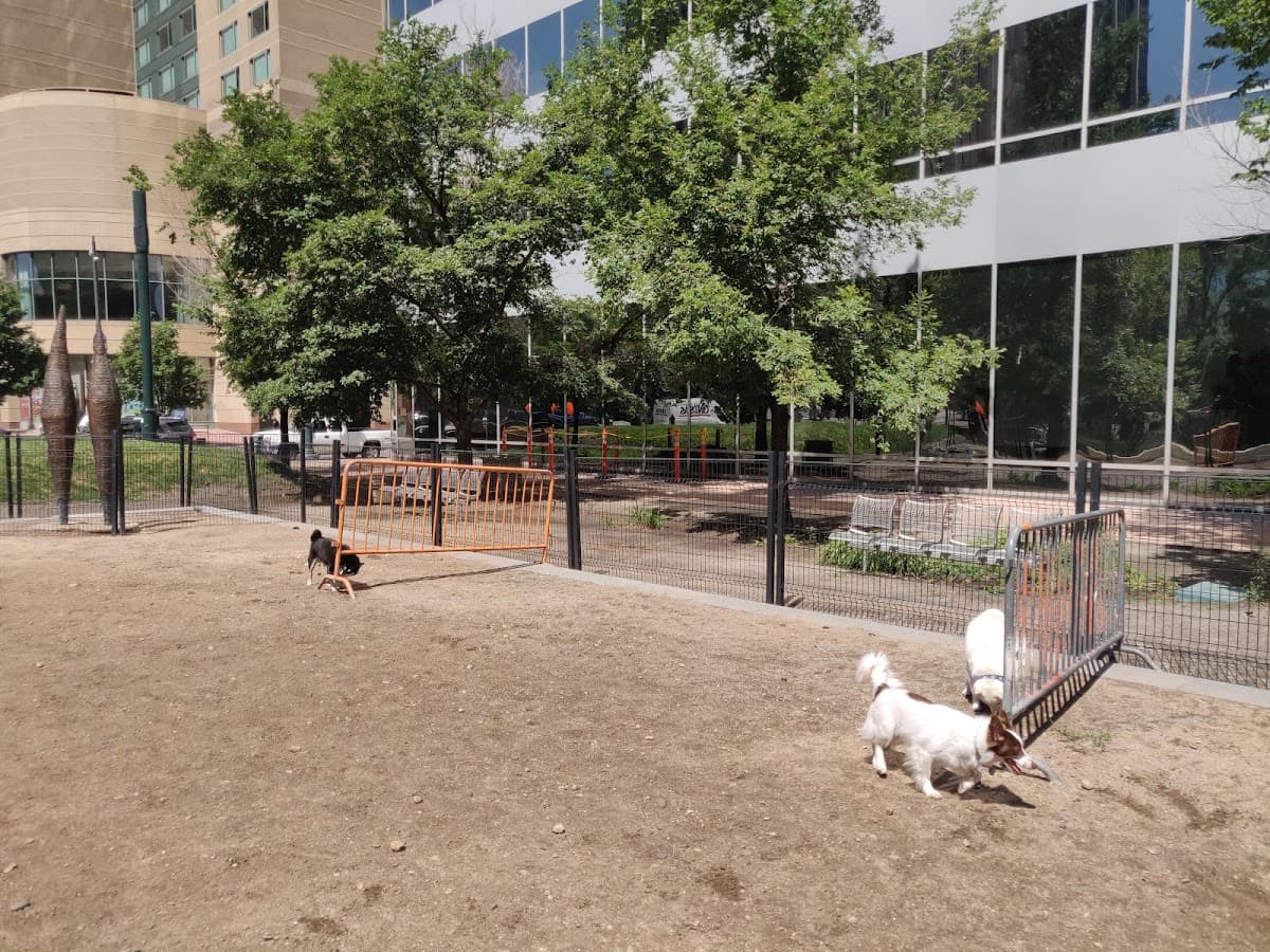 Denver Off Leash Dog Park