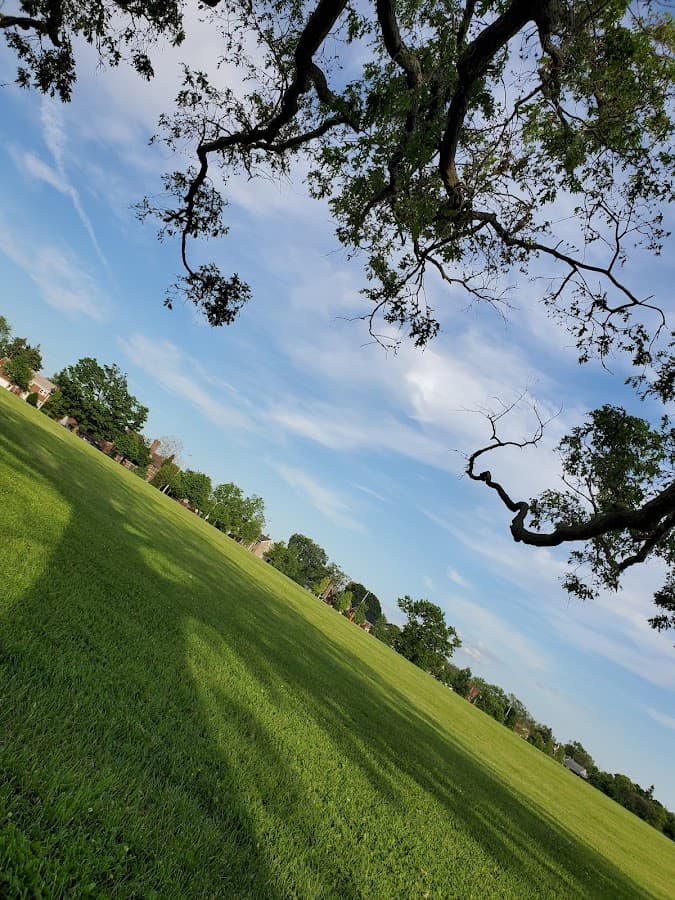 DeVeaux Woods State Park Dog Park