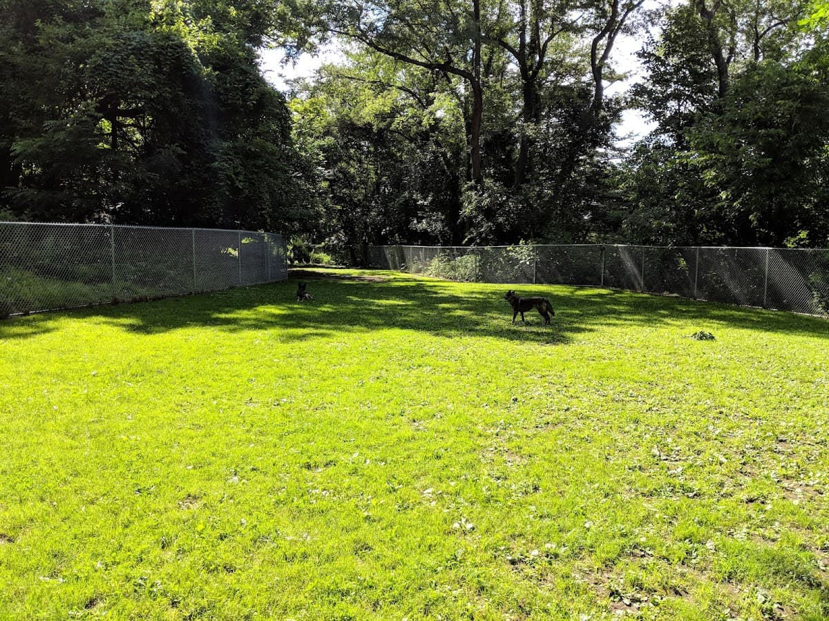 Dickson Dog Park
