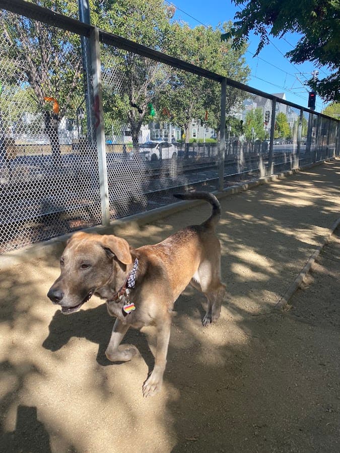 Discovery Dog Park aka Cujo Park
