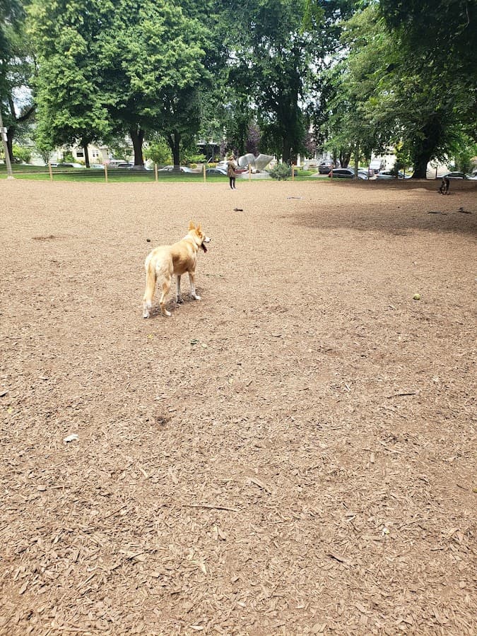 Dog Off-Leash Area