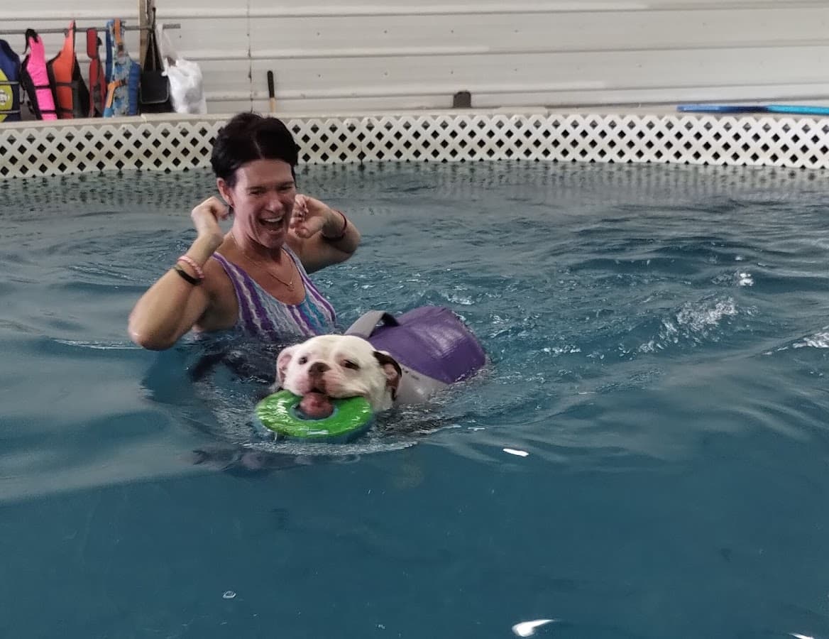 Dog Paddle Beach