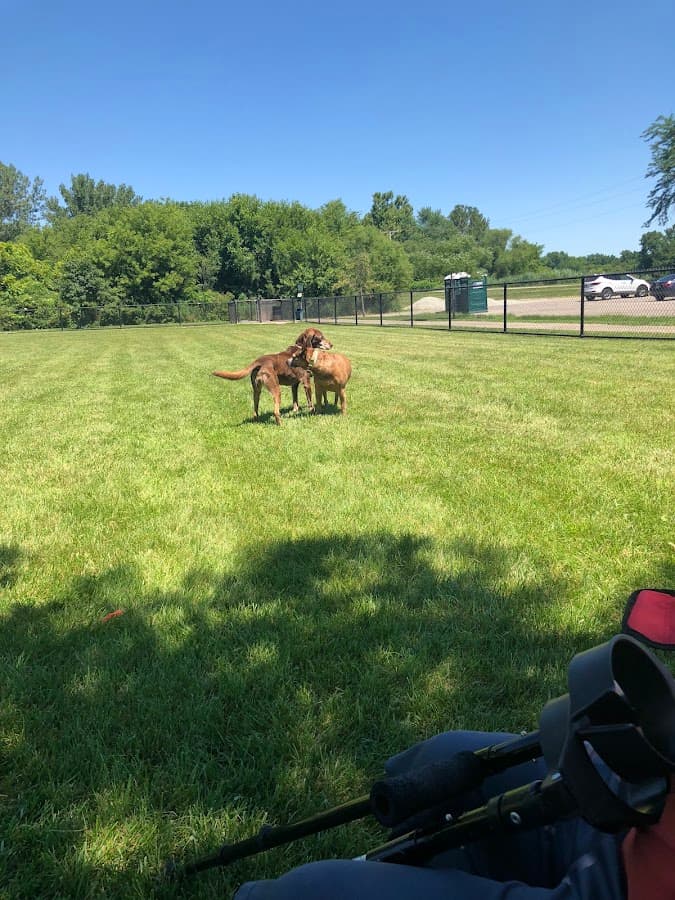 Dog Park at Phillips Park