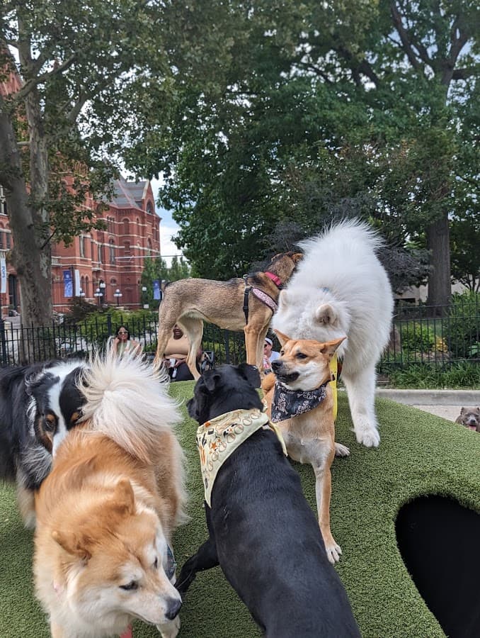Dog Park at Washington Park