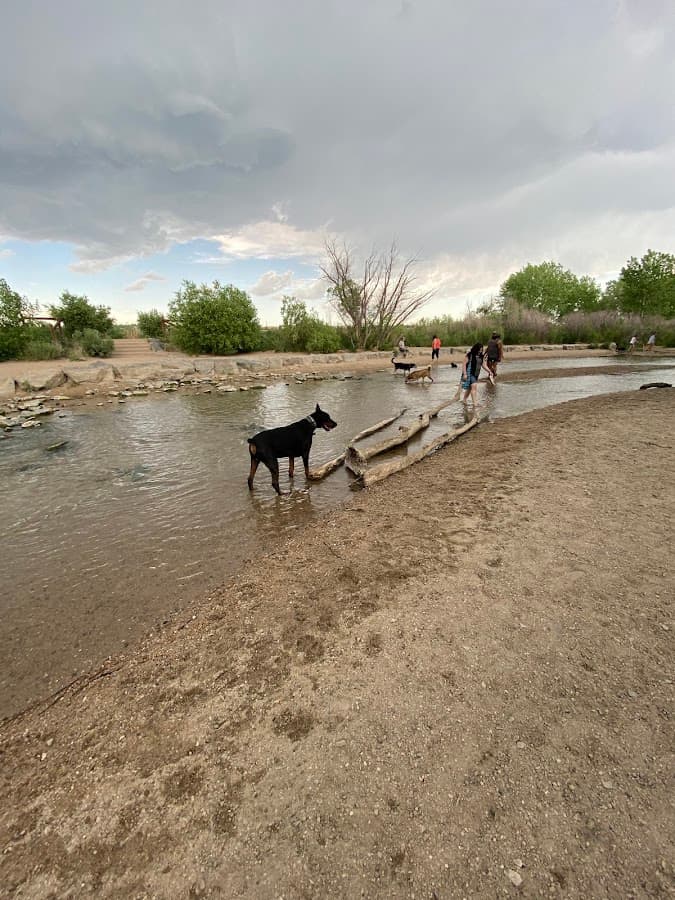 Dog Park Beach and Cherry Creek Access