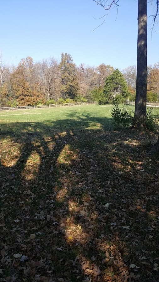 Dog Park
