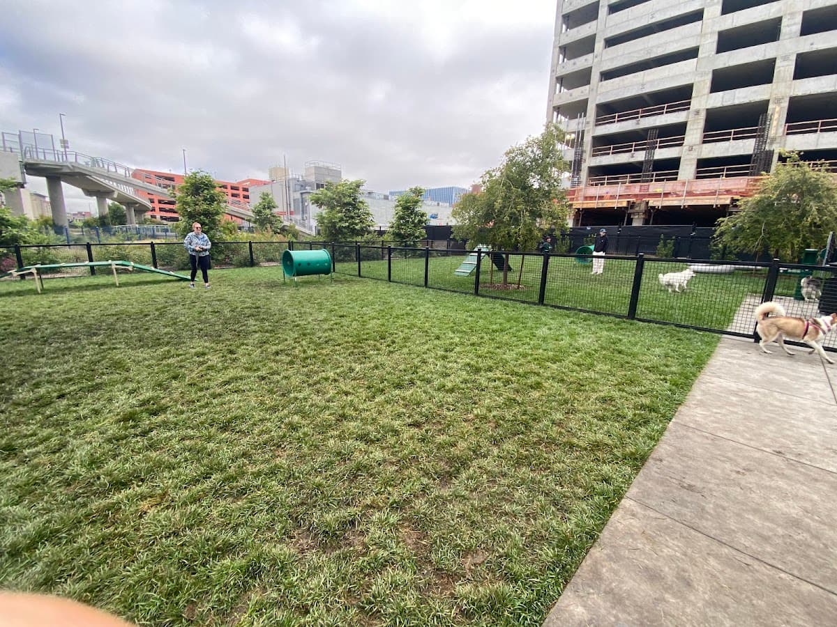 Dog park