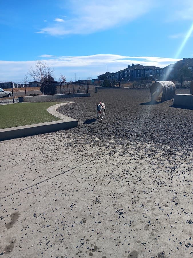 Dog Park Off-Leash Area