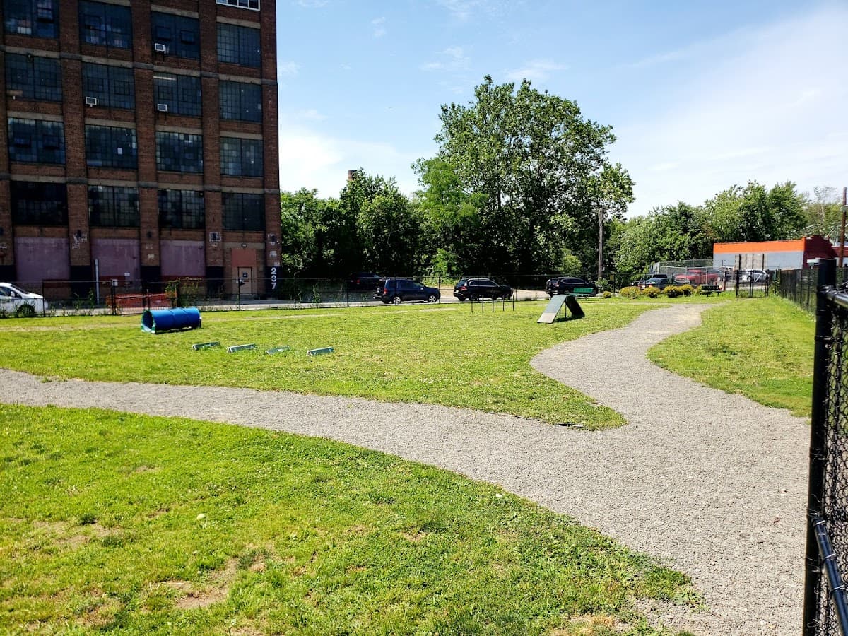 Dog Park