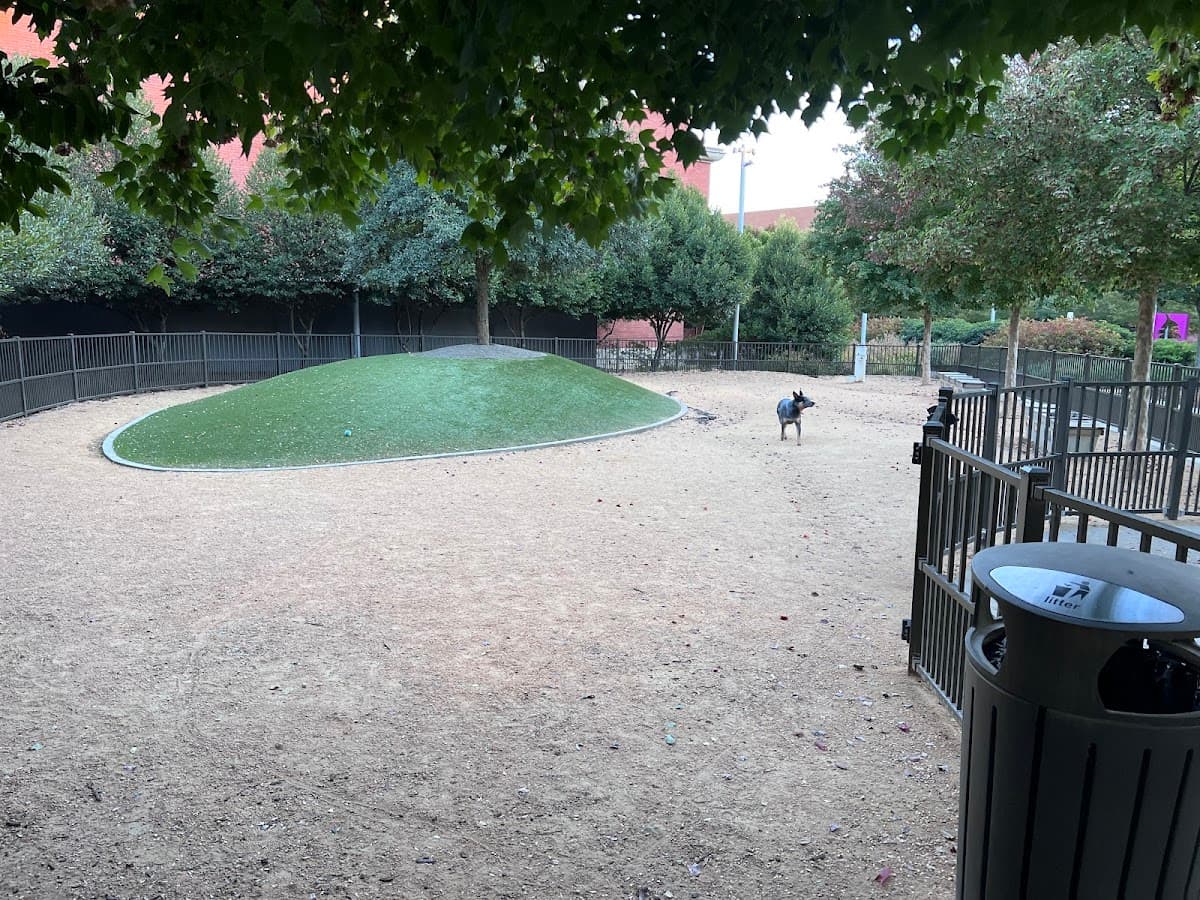 Downtown Greensboro Animal Hospital Dog Park