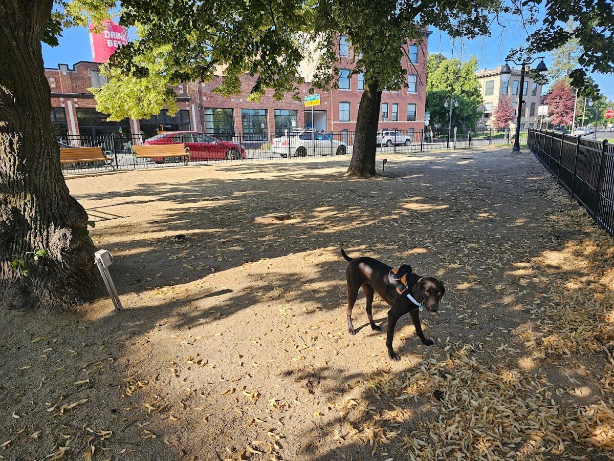 Downtown Spokane Dog Park