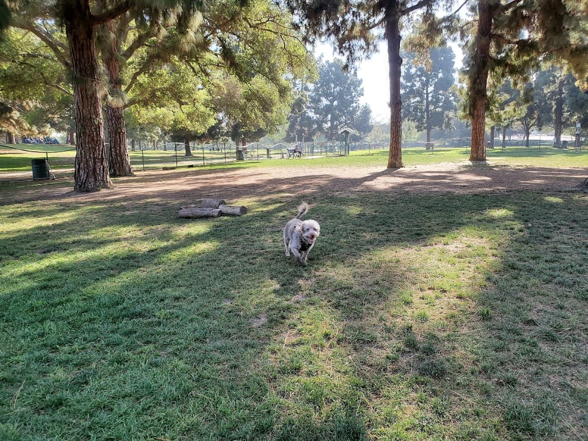El Dorado Park Dog Park