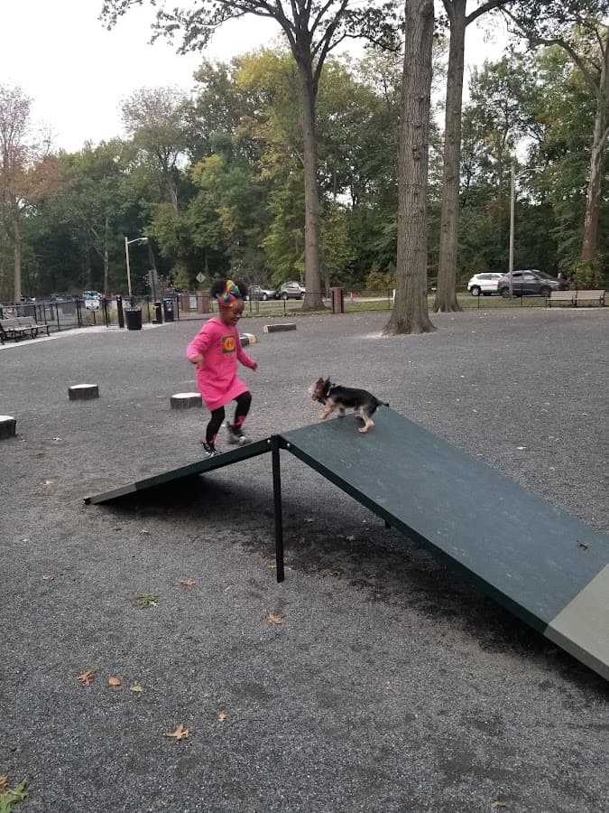 Essex County Branch Brook Park Dog Park