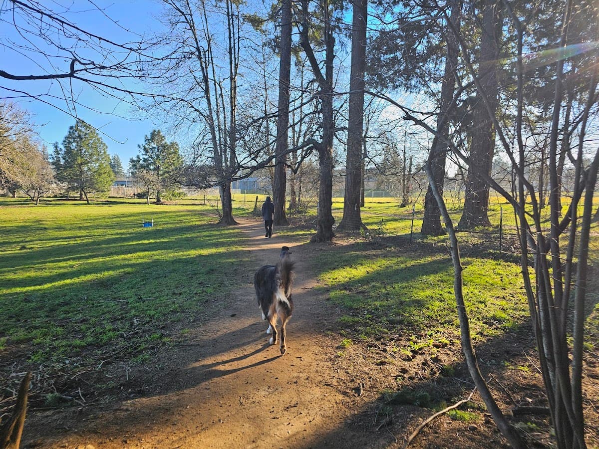 Fenced Off-Leash Dog Park